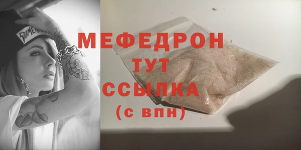 стаф Осинники