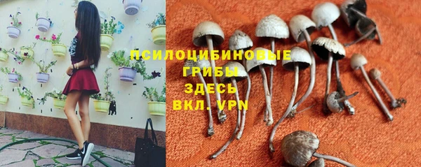 бутират Алексеевка