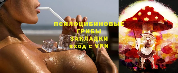 дживик Алексин