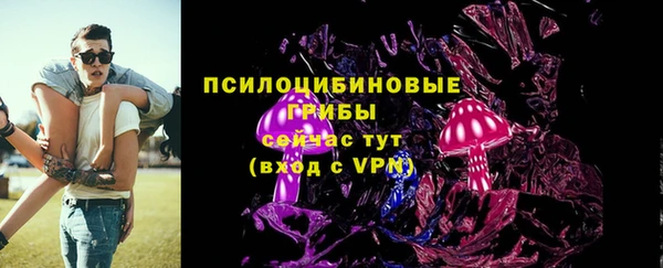 spice Алзамай