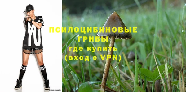 дживик Алексин