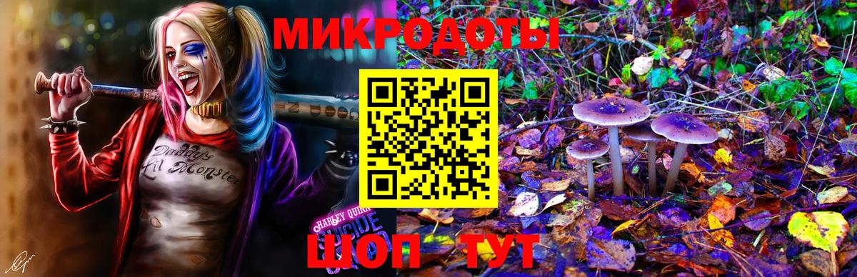 Галлюциногенные грибы мицелий Крымск