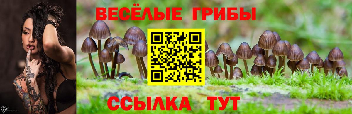 купить закладку  Вход с VPN  Галлюциногенные грибы мицелий  Крымск  Галлюциногенные грибы Psilocybine cubensis 